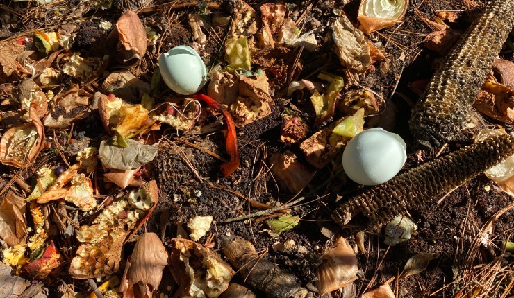 Organized Decay: The Art of Composting